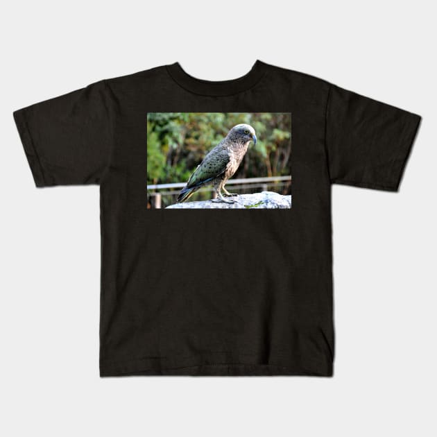 Nouvelle Zélande -  Milford Sound, perroquet kea Kids T-Shirt by franck380